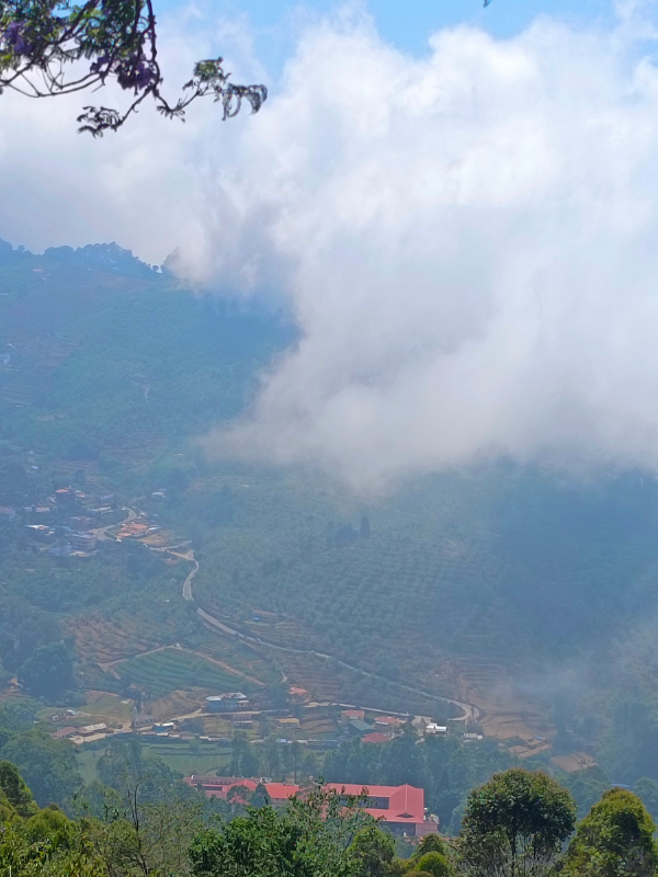 From coffee to chocolates, 5 reasons you must visit our 'Southern Queen of Hills'
